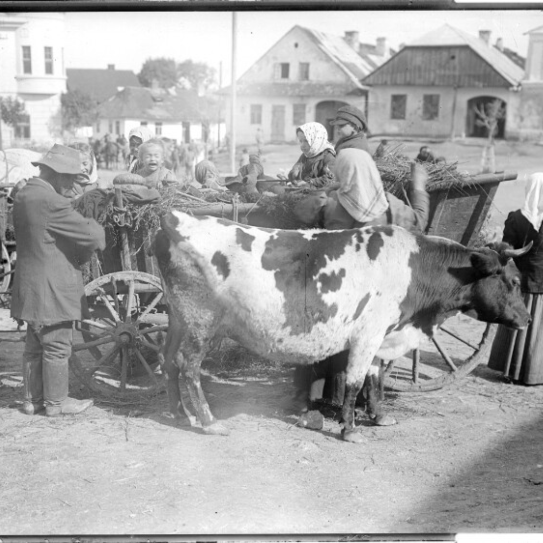 Refugees standing in a square in front of a cart with a cow in the forefront. On the left side there is a man with his back. On the cart a child is crying.