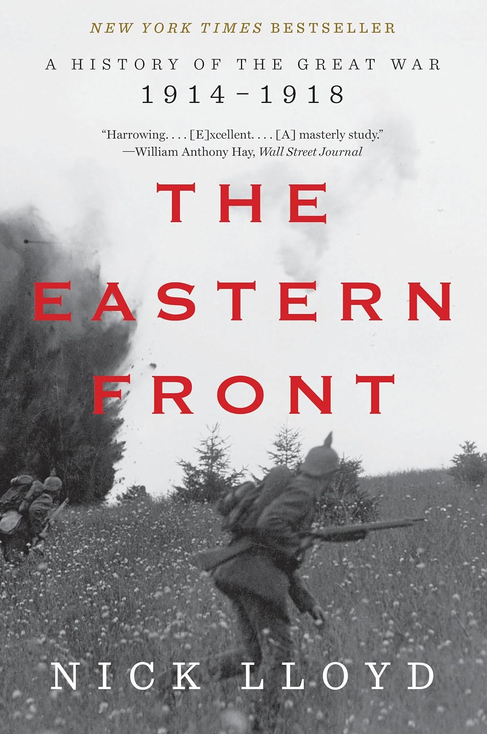 Book cover depicts black and white scene from the First World War with a soldier in the middle. The title of the books is written in red lettering in the front, above it praise for the book. The author's name appears at the bottom in white font against the dark grey background of the battlefield.
