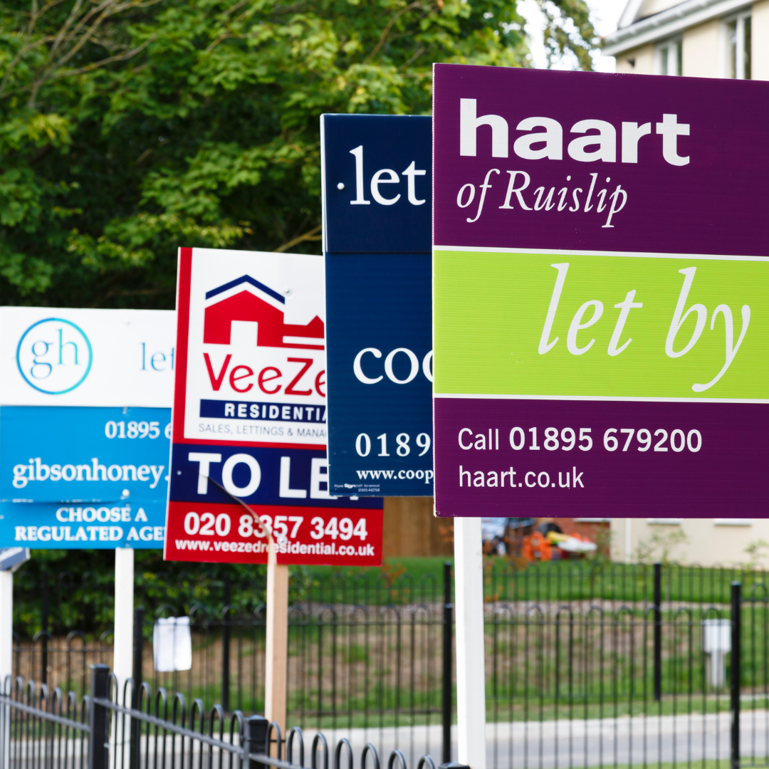 This image shows a collection of colorful real estate signs attached to a fence outside a residential property. The signs advertise properties available for rent, each featuring contact information for various letting agencies. The background includes greenery and part of a house.